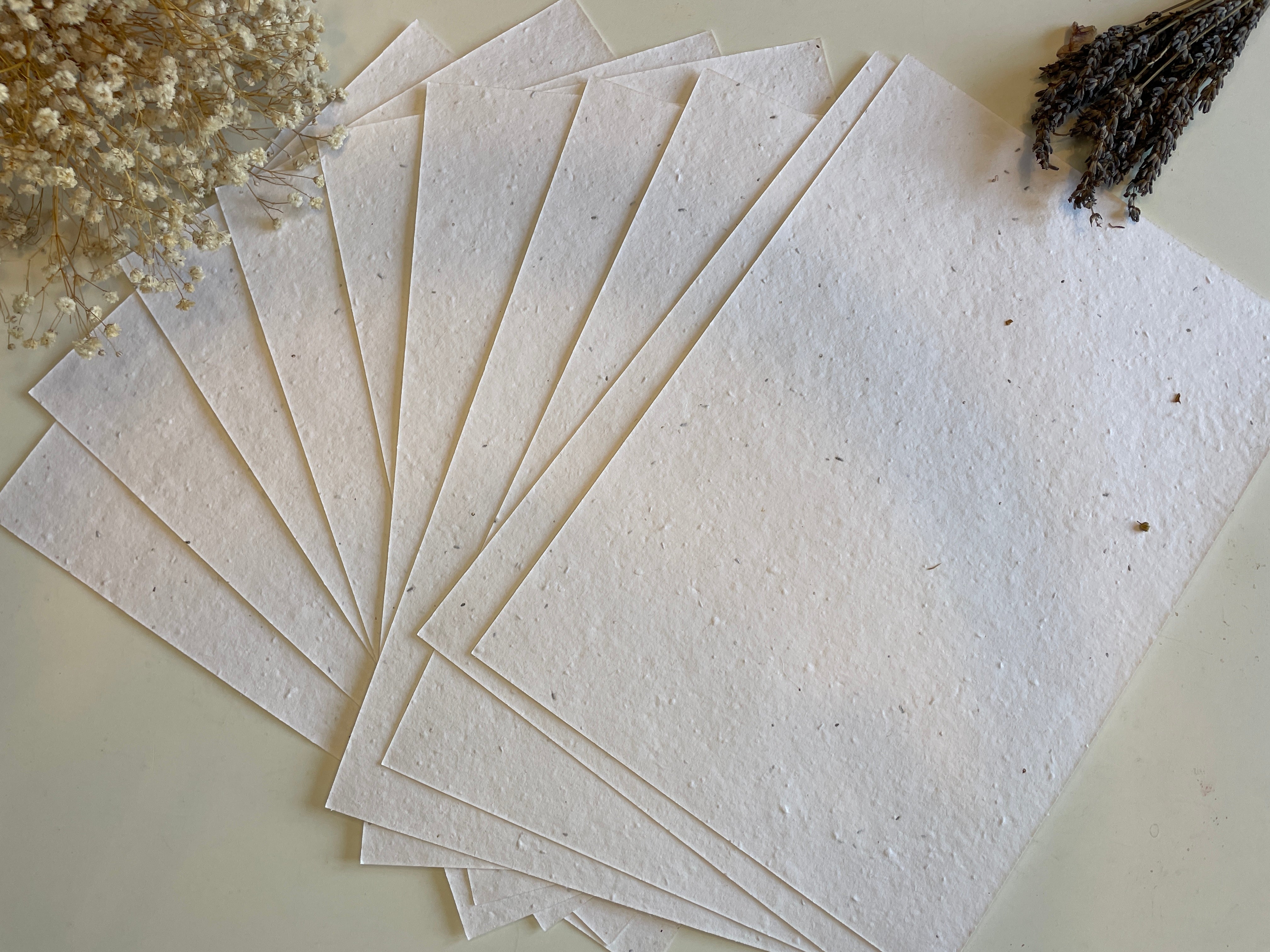 Wholesale Seeded Paper Wildflower / Card Plain - Eco Friendly Print at Home Craft Paper with Wildflower Seed Mix